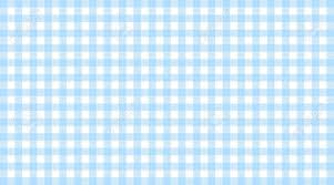 Traditional Checkered Tablecloth Pattern Light Blue White Stock Photo Picture And Royalty Free Image Image 56866296