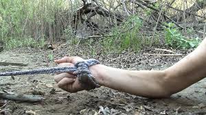 Cindy Wacht Nackt Und Gefesselt Im Freien Auf: German Amateur Porn