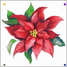 Ver más ideas sobre flor de pascua, pintura navideña, flor de navidad. 120 Ideas De Flor De Pascua Flor De Pascua Pintura Navidena Flor De Navidad
