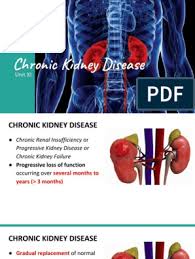 Acute on chronic renal failure • renal hypoperfusion • obstruction and infection of the urinary tract: Xi Chronic Kidney Disease Pdf Chronic Kidney Disease Renal Function