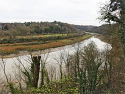 The high street is all cobbled stones, boat sheds and cottages. Photographs Of Leigh Woods National Nature Reserve Somerset