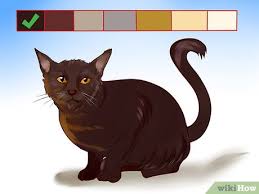 Dr thompson enlisted the help of virginia cobb (newton the burmese were accepted for registration by the cat fanciers association in 1936 although the breed was suspended in 1947 due to breeders. How To Identify A Burmese Cat 12 Steps With Pictures Wikihow