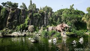 Termasuk juga menilai hubungan populasi komodo dengan pakannya, masyarakat di sekitarnya, tur operatornya. kata wiratno. Kebun Binatang Ragunan Buka Mulai 20 Juni Simak Aturan Barunya