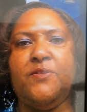 Obituary information for Stacy Lynn Rasheed