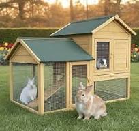 Cage Clapier Enclos Lapin Extérieur en Bois Haute Qualité ...