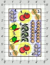 Salsa Garden Plot 4x6 Vegetable Garden Raised Beds Garden Layout Vegetable Raised Garden Beds