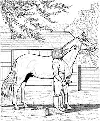 Maybe you would like to learn more about one of these? Pferd Reiten Bilder Zum Ausmalen Novocom Top