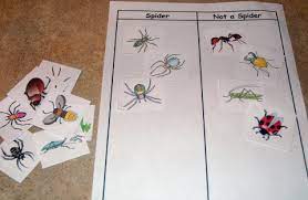 See more ideas about the very busy spider, early learning activities, early learning. The Very Busy Spider Hubbard S Cupboard