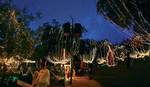 We did not find results for: 40 Festive And Free Holiday Events In Orlando 2020