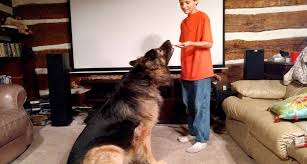 Image result for tbn:HYHUNTcEEKbvFM::img262.imageshack.us/img262/6572/nilezn4.jpg