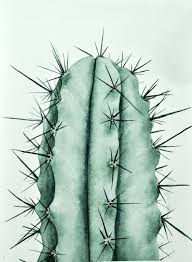 Many have a short growing season that is synchronised with the ideal growing conditions. Buy Cactus A Watercolor On Paper By Katryn Bowe From United States It Portrays Botanic Relevant To Plant Succulent In 2020 Pflanzen Kunst Zeichenubungen Acryl Malen
