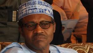 Tasks before afenifere leader ayo adebanjo. Yinka Odumakin Does Not Speak For Buhari Cpc Says Premium Times Nigeria