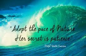 24 Of The Most Beautiful Quotes About Nature Nature Quotes Mother Nature Quotes Caption For Nature