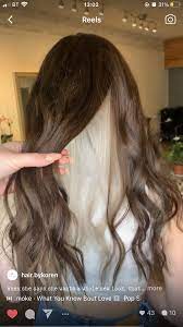 Blonde Panel Narcissa Malfoy Hair Brown Hair Dye Under Hair Dye Aesthetic Hair