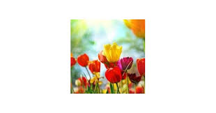 Sally Ann Embree Obituary (2022)