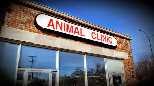 Arlington animal hospital is a professional veterinary practice for dogs, cats, exotic animals and arlington animal hospital was the first veterinary facility in the city of arlington, texas. Animal Clinic Of Arlington Veterinarian In Arlington Homepage