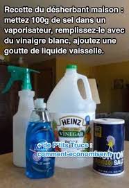 Puissant Et Facile A Faire Le Desherbant Maison Au Vinaigre Blanc Desherbant Maison Desherbant Naturel Jardinage