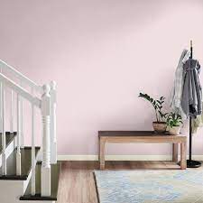Beloved Pink Matte Interior Paint