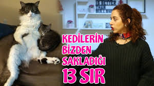 Ailenizi Evcil Hayvan Almaya Ikna Etmenin 14 Sasmaz Yolu Youtube