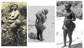 Résultat de recherche d'images pour "steatopygia"