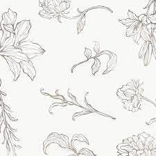 Gold Floral Outline Background Transparent Png Premium Image By Rawpixel Com Nunny Flower Outline Leaf Outline Flower Illustration