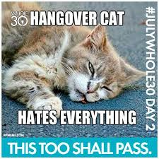 Whole30 Many Whole30ers Report Headaches Fatigue And General Malaise During This Part Of The Program This My Friends Is Completely Normal Your Body Is Working Its Way Through A Whole Host