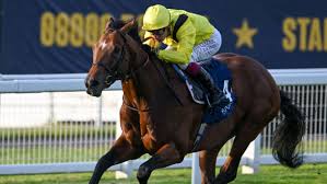 Estefania confesiones onlyfans met in the casino and