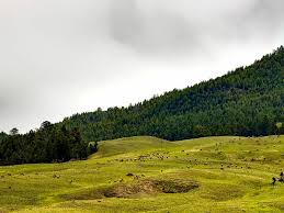 Kugti Wildlife Sanctuary Travel Guide Attractions And How To Reach Nativeplanet There are as many as 26 wildlife sanctuaries in himachal as far as the national parks of himachal pradesh are concerned, we have five very popular parks namely the great himalayan national park (kullu), a. kugti wildlife sanctuary travel guide