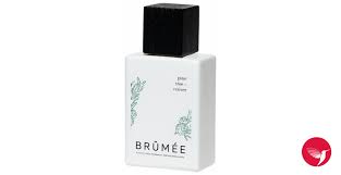 Transform your home into a holiday haven with the forestree pine scent spray from national tree company. Pine Tree Vetiver Brumee Perfume A New Fragrance For Women And Men 2021