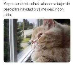 Los Mejores Memes De Gatos Memes En Espanol La Mejor Recopilacion De Memes Lo Mas Viral De En 2020 Meme Gato Memes De Gatos Divertidos Fotos De Memes Divertidos