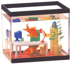 Office Fish Fish Tank Cool Fish Tanks Cool Fish
