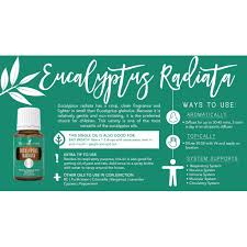 Cooling, refreshing, energizing, nonirritating to skin, preferred eucalyptus for use on children, lighter is eucalyptus globulus essential oil eucalyptus globulus has an earthy, fresh aroma and is used in many skin care products for its cleansing properties. Cheapest Young Living Yl Eucalyptus Radiata Essential Oil Yl 15 Ml Shopee Malaysia