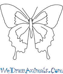 Check spelling or type a new query. How To Draw A Swallowtail Butterfly