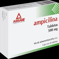 Ampicilina Plm