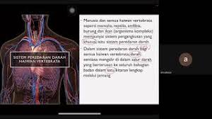 Mengangkut nutrien dan gas oksigen ke dalam badan, menyingkirkan bahan buangan ke luar badan. 3 1 Dan 3 2 Sistem Pengangkutan Dalam Organisma Dan Sistem Peredaran Darah Youtube
