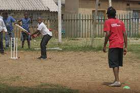 In Backyards Kids Playing Backyard Cricket