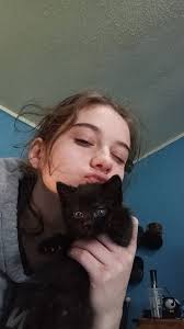 Any female kittens in the Dickinson area looking for a calico Siamese or  all grey kitten or if anyone has it knows anyone with any female kittens in  the dickinson area please