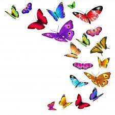 Ilustracion De Mariposa Sobre Fondo Blanco Conjunto De Dibujos Animados Aislados Icono Inse Ilustracion De Mariposa Arte De Mariposa Papel Pintado De Mariposa