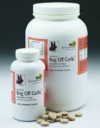 Check spelling or type a new query. It Works For Vampires Can Garlic Scare Off Mosquitoes Wsj