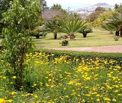 Die bewahrung und förderung einer solchen institution ist im zeitalter fortschreitender biotopzerstörung und der damit verbundenen. File Madeira Oberhalb Funchal Botanischer Garten 5 07 Jpg Wikimedia Commons