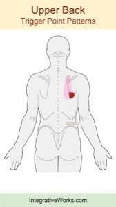 Pin On Health