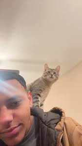 The only cats at Middleton Hall this morning