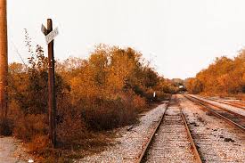 Image result for william eggleston photography jpg