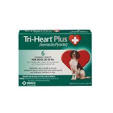 Visit your local giant pharmacy located at 168 n flowers mill rd to fill prescriptions, get advice on medications, receive health screenings, and get immunizations. Flowers Mill Veterinary Hospital Home Delivery