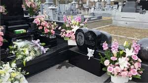 Ladies Code S Rise Finally Laid To Rest Coding Lady Risen