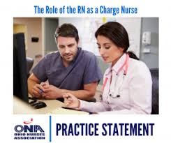 The Role Of The Registered Nurse As Charge Nurse Ohio