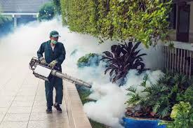 Centipedes Pest Control Service at ₹ 200/sq ft in Pune | ID: 2851571468362