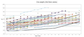 Alpaca Cria Data Birth Weight Weight Gain And Gestation