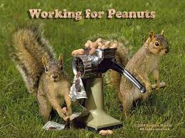 Check spelling or type a new query. 4 Funny Squirrel Postcards Squirrels Working For Etsy