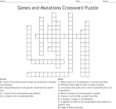 There are several types of mutation: Genes And Mutations Crossword Puzzle Wordmint